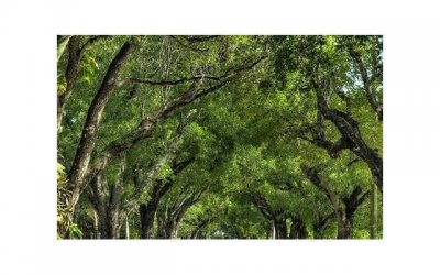 ​男朋友不好看想分手(男朋友不好看想分手怎么办)