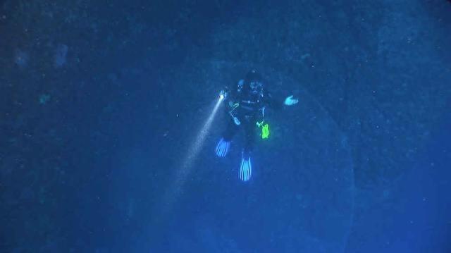 海底发现不明的“海底大泡泡”，是世界上最大的动物卵