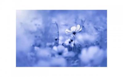 ​女生暗恋男生有什么表现 女生暗恋男生的时候有10个表现