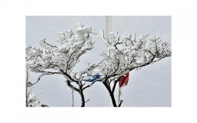 ​挽留婚姻（五步更新婚姻）