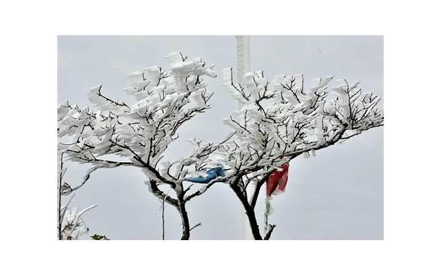 挽留婚姻(五步更新婚姻) 挽留婚姻(五步更新婚姻)