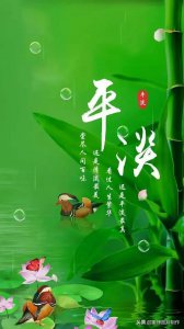 ​大自然无污染纯绿色图片 手机壁纸