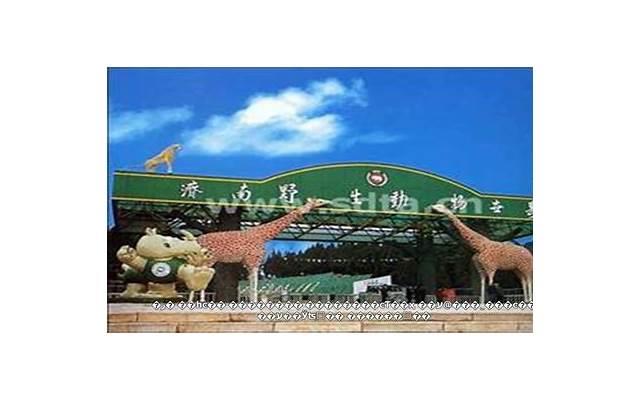 恋爱与婚姻的关系分析 恋爱与婚姻的关系分析