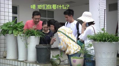 ​「卵可以等上一万年孵化」都匀市民发现的这是什么神仙物种？