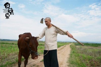 ​比《人民的名义》还好看，接下来这五部国产大剧千万别错过了