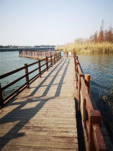 ​上帝的后花园，苏州虎丘湿地公园