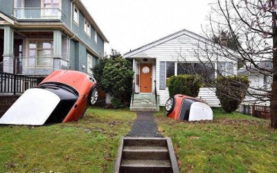 ​8张看起来很“荒唐”的图片，图6的老虎心情是忐忑不安