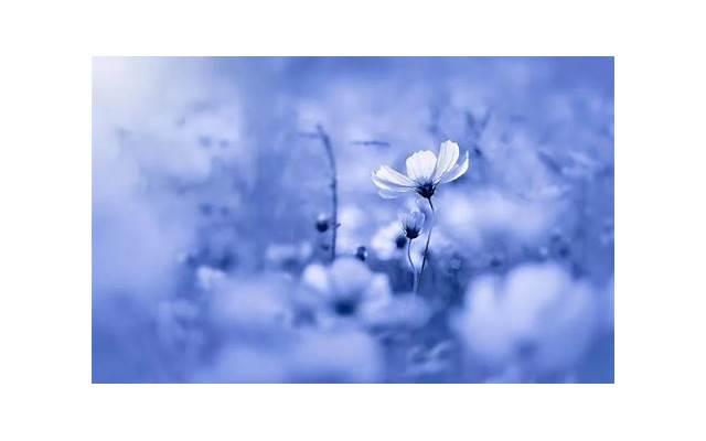 心理学判断男生暗恋你,男生暗恋女生有什么表现 心理学判断男生暗恋你,男生暗恋女生有什么表现