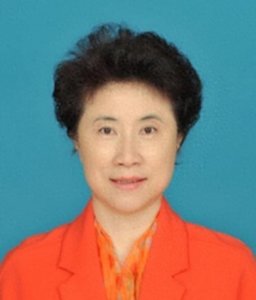 ​苏君：甘肃白银原市委书记