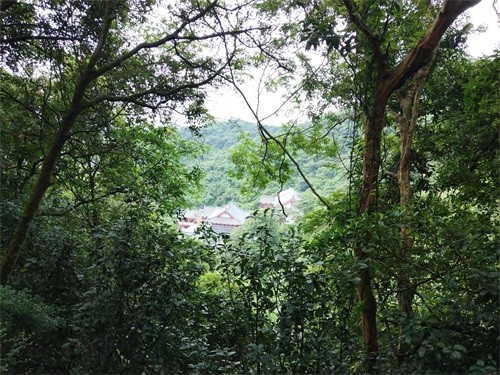 东莞长安莲花山郊野公园