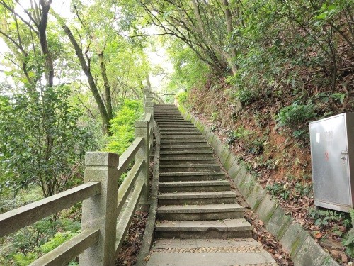 东莞长安莲花山郊野公园