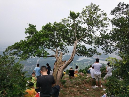 东莞长安莲花山郊野公园