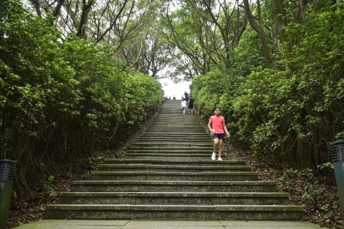 东莞长安莲花山郊野公园