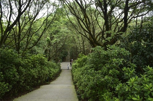 东莞长安莲花山郊野公园