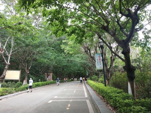 东莞长安莲花山郊野公园