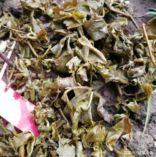 天然钾肥有哪些(什么东西做钾肥好)