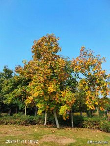 ​中国的哪个沙漠被称为“死亡之海”？