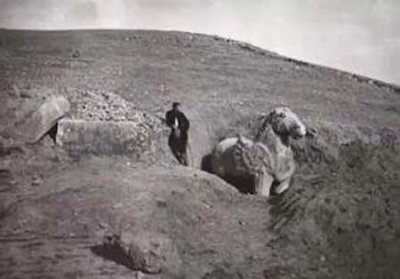 ​第一次世界大战逃亡者途遇幽灵,是引路还是勾魂?