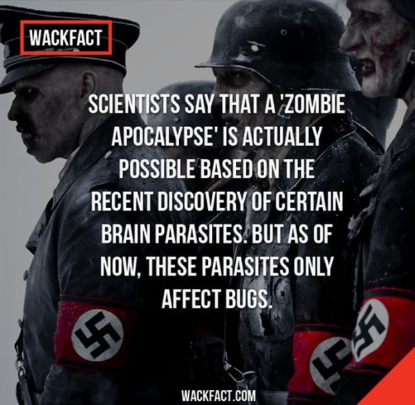 13个惊人的究竟:这些竟然都是真的