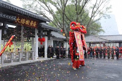 ​阳朔大榕树景区升级后华丽开园，续写新篇章