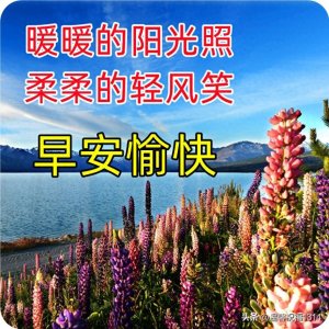 ​早上好祝福问候图片 日常早安图片最新