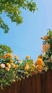 ​富贫皆有由，缘聚皆有报！20 句因果之语，万事皆有命数，别不信！