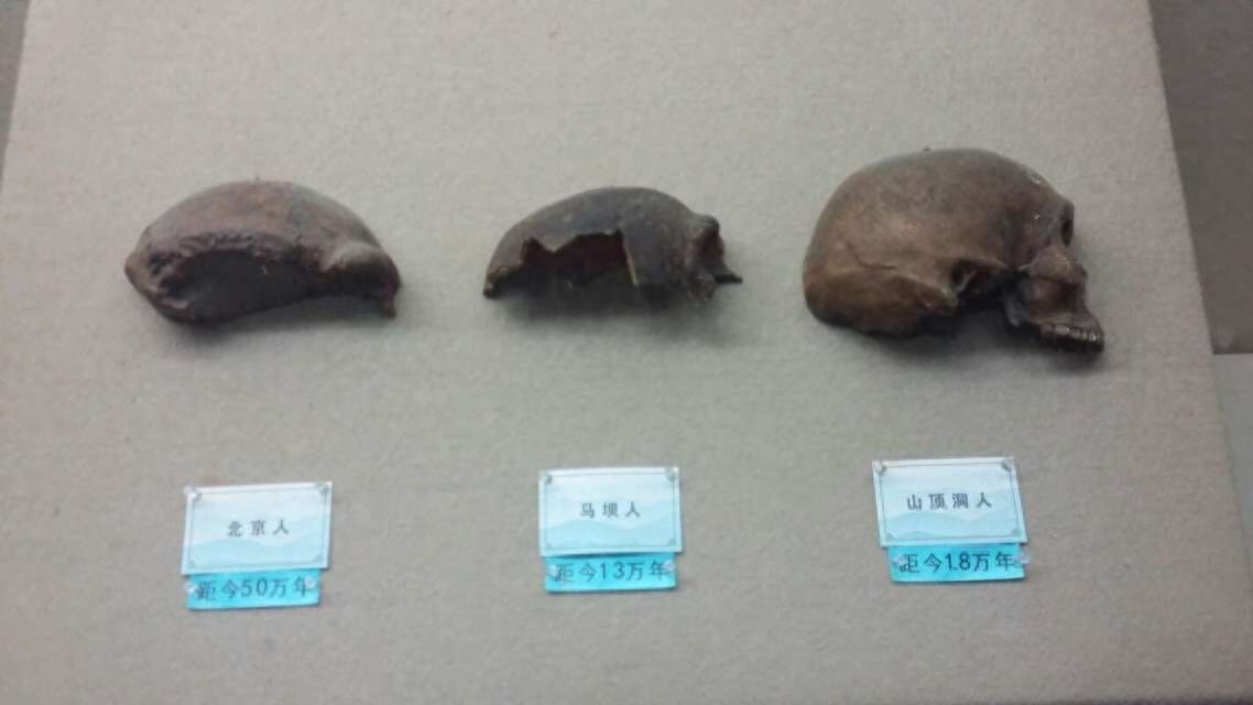 马坝人遗址:岭南地区最早发现有原始人居住痕迹的地方